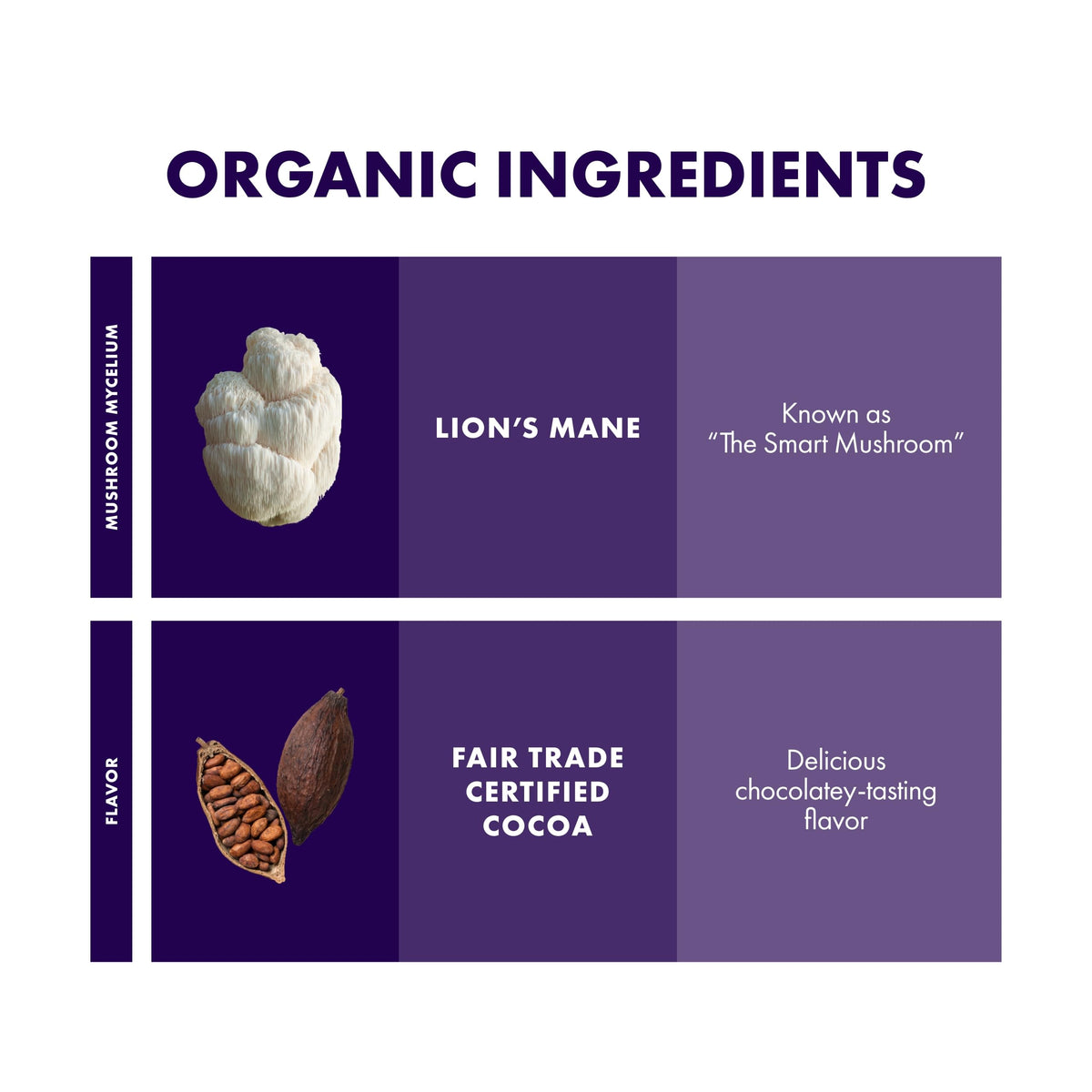 Host Defense MycoBrew Cocoa - Cocoa Drink Mix Includes Lion's Mane