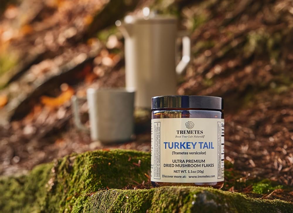 Tremetes Turkey Tail Mushroom Fruiting Body Powder - 1.1 oz - image 5