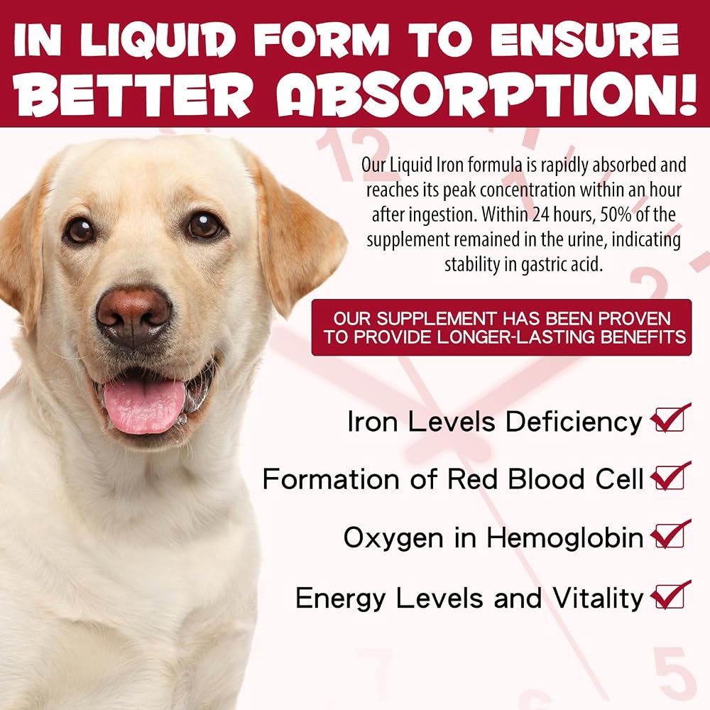 FSLHCY Iron Supplement for Dogs Liquid - 2 fl oz - image 4