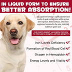 FSLHCY Iron Supplement for Dogs Liquid - 2 fl oz - image 4