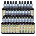 Herbal Terra LLC Couch (Elymus Repens) Tincture