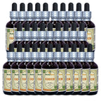 Herbal Terra LLC Couch (Elymus Repens) Tincture