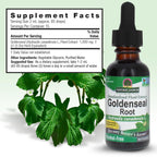 Nature's Answer Goldenseal Root Extract Immune Support - 2 Fl Oz - image 3