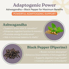 nootrimind Organic Ashwagandha Supplement Capsules - 60 Count - image 3