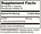 Brain Bean Alpha GPC 500mg Choline Supplement - 90 Vegetarian Capsules - image 2