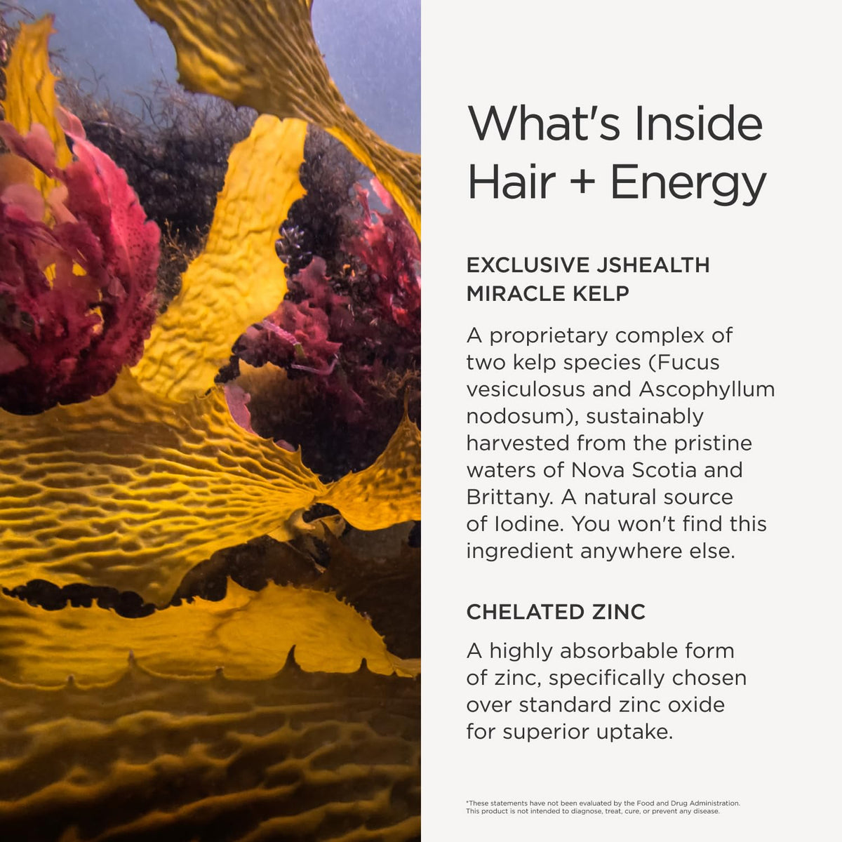 JSHealth Vitamins Hair + Energy Formula - 120 Capsules - image 4