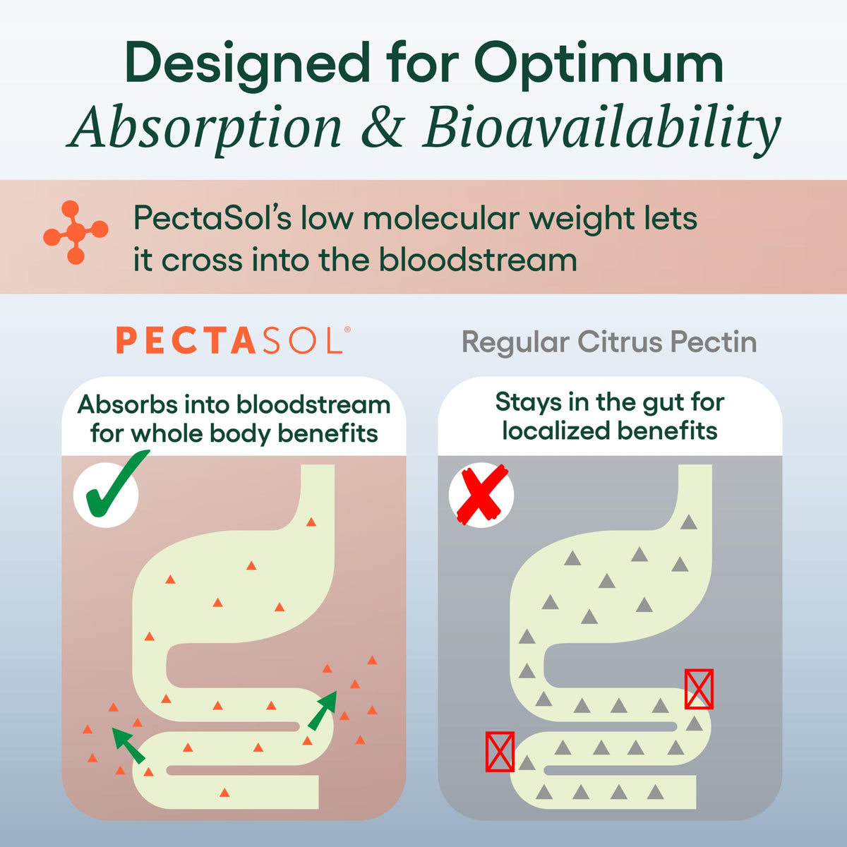 EcoNugenics PectaSol Modified Citrus Pectin Supplement