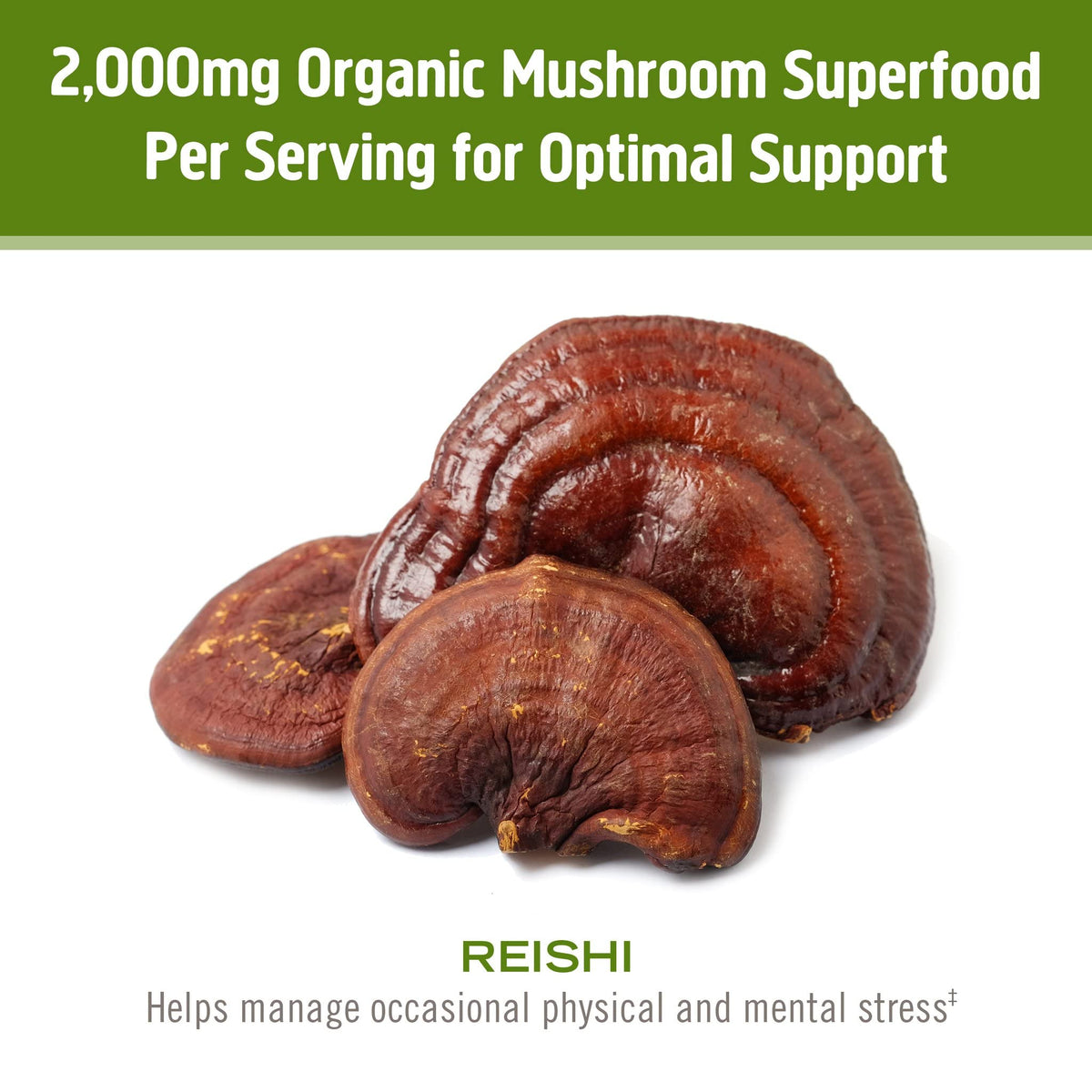 OM Mushroom Superfood Reishi Organic Powder for Stress Relief - 100 Servings - image 4