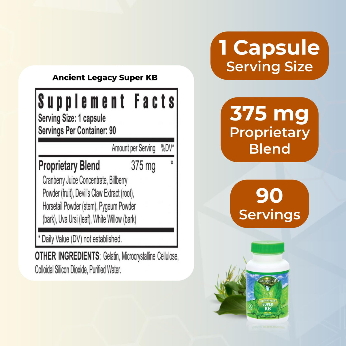 Youngevity Super KB Cranberry Urinary Tract Support - 90 Capsules - image 3