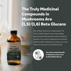 Triquetra Health MycoMax Lions Mane - 70% Beta Glucans