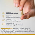 Premier Research Labs Adaptogen-R3 Stress Support - 90 Vegetarian Capsules - image 4