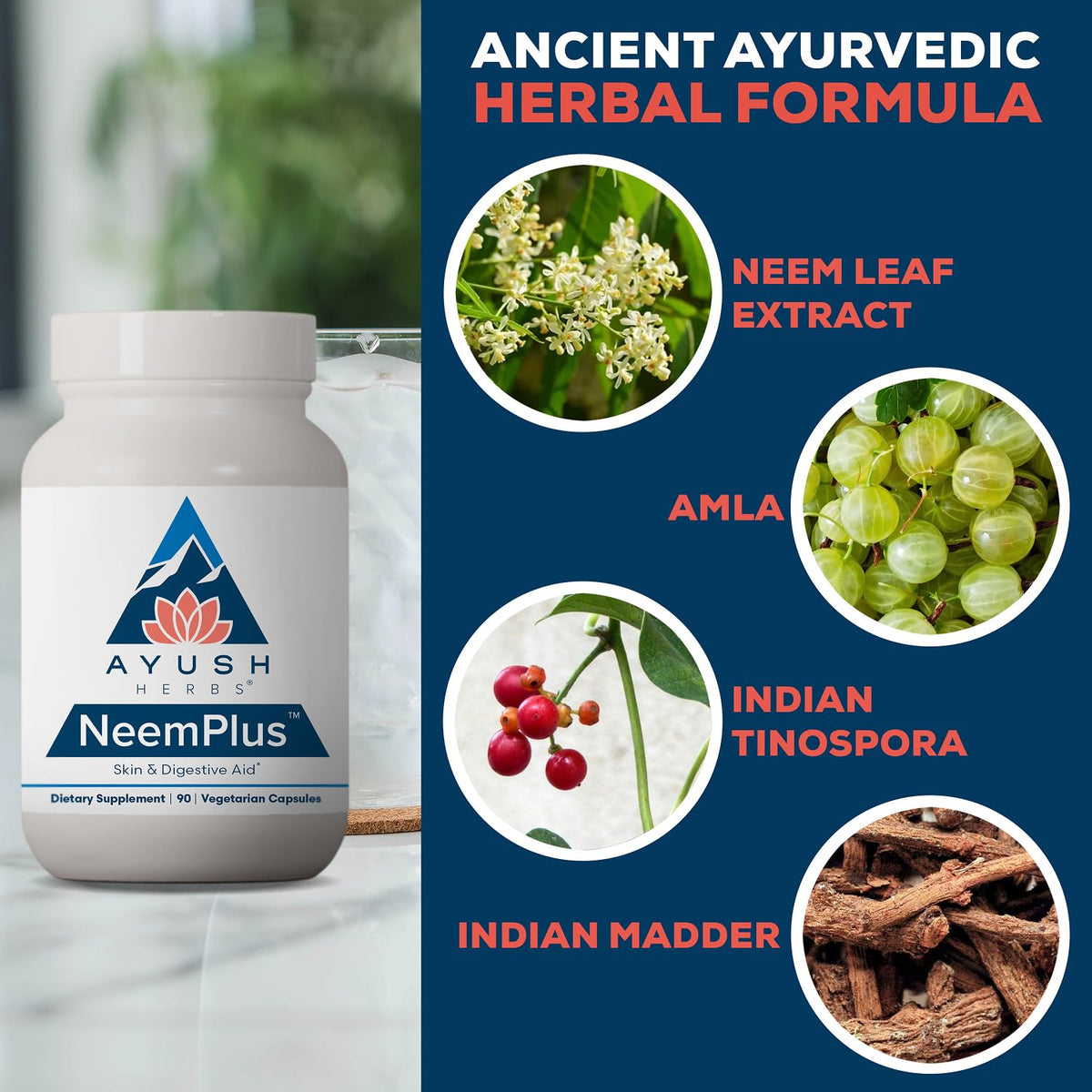 Ayush Herbs Neem Plus Digestive Health - 90 Capsules - image 4