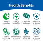ENCAPSULATE 6 Mushroom Blend 1000mg Immune Support - 60 Capsules - image 7