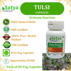 Satya Naturals Tulsi Forte 500 mg Basil Extract - 240 Vegetarian Capsules - image 7