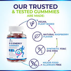 Nature's Nutrition Vitamin B12 Energy Gummies - 4500 mcg Extra