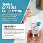 Objective Nutrients Thiamax TTFD Thiamine B1 Supplement - 60 Capsules - image 7