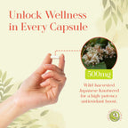 Green Dragon Botanicals Japanese Knotweed 500 mg - 100 Capsules - image 3