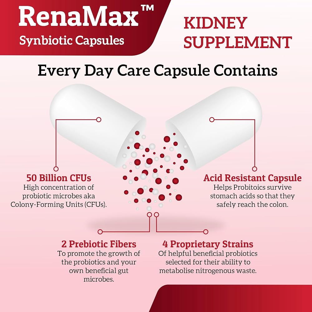 RENAMAX Kidney Support Probiotic Supplement - 90 Capsules - image 4