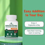 Spliferkou 11-in-1 Adrenal Support Supplement - 60 Capsules - image 7