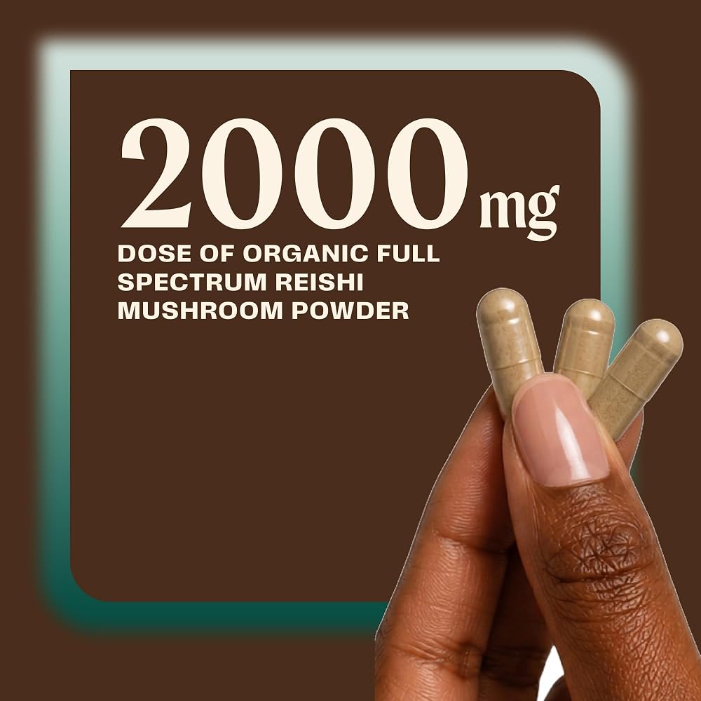 OM MUSHROOM SUPERFOOD Reishi Mushroom Capsules Stress Relief - 90 Count - image 5