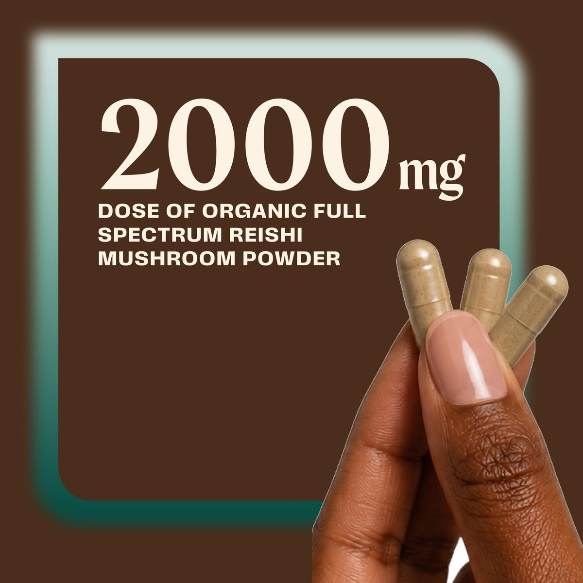 OM MUSHROOM SUPERFOOD Reishi Mushroom Capsules Stress Relief - 90 Count - image 5
