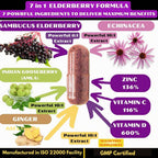 GoodlifePick Elderberry with ZINC