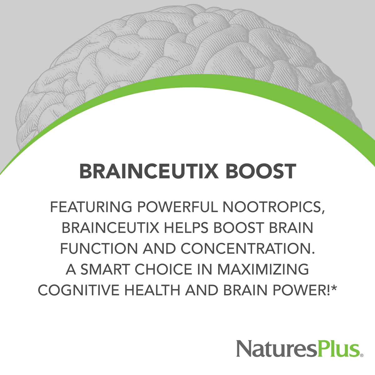 Nature's Plus BrainCeutix Boost Ginkgo Plus Brain Supplement - 90 Capsules - image 2