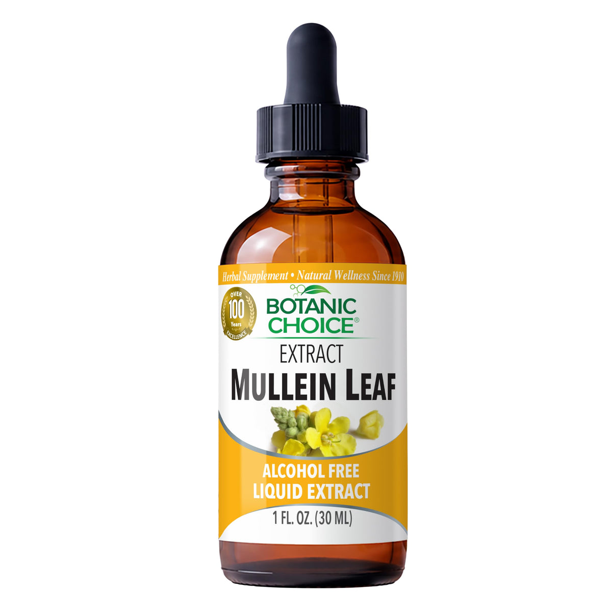 Botanic Choice Mullein Leaf Liquid Extract Alcohol Free - 1 fl oz