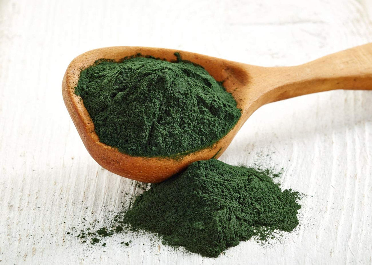 Food to Live Chlorella Powder