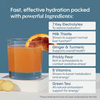 Hydralyte Plus Liver Support Hydration Packets - 7 Electrolytes