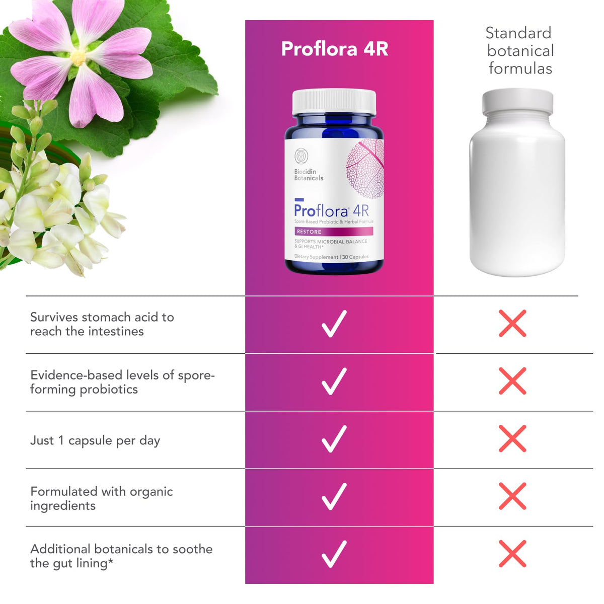 Bio-Botanical Research Biocidin Proflora 4R Spore Probiotic - 30 Capsules - image 8