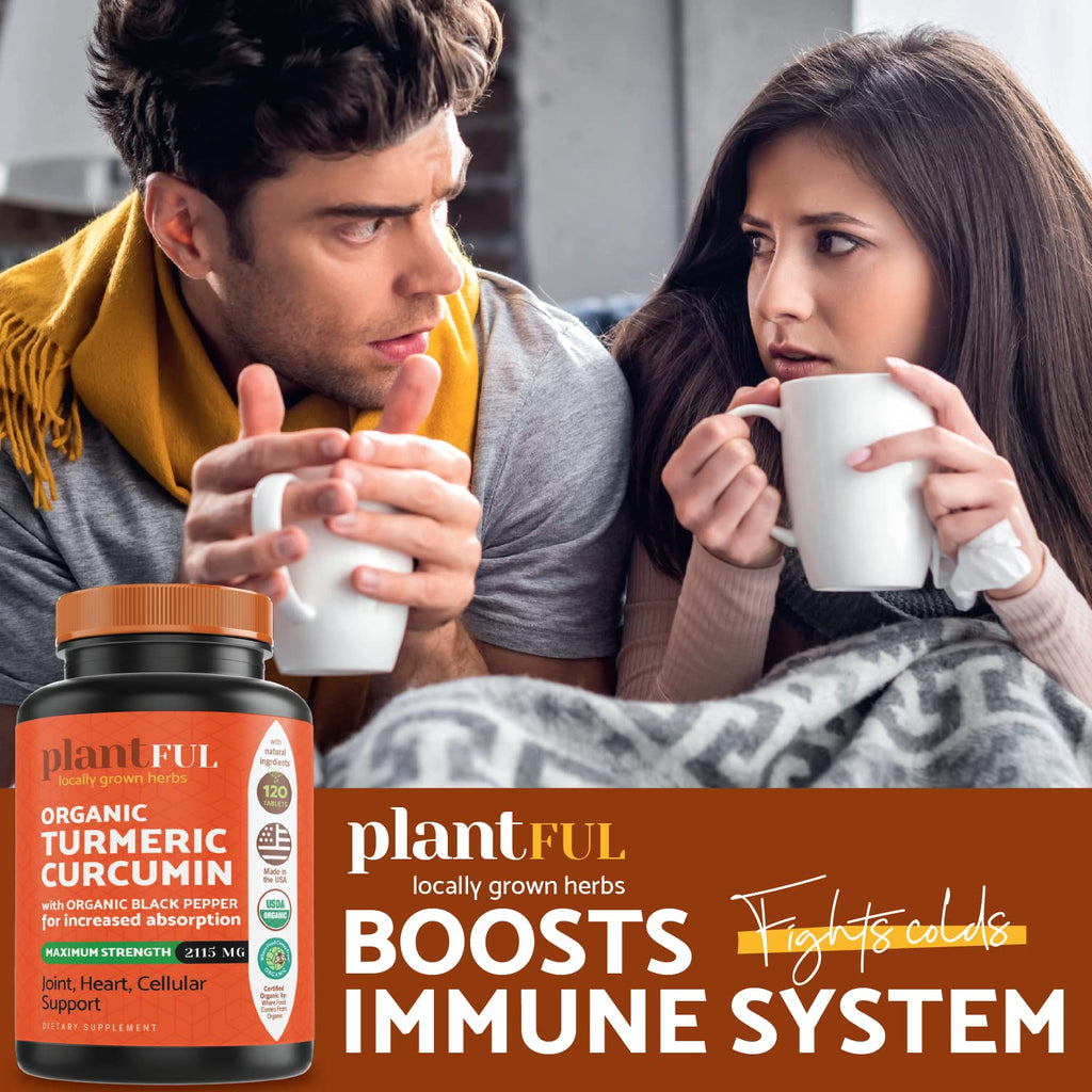 PLANTFUL RESEARCH Organic Turmeric Curcumin 2115mg - 120 Tablets - image 5