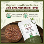Organic Way Hawthorn Berries Cut & Sifted - Herbal Tea - Origin