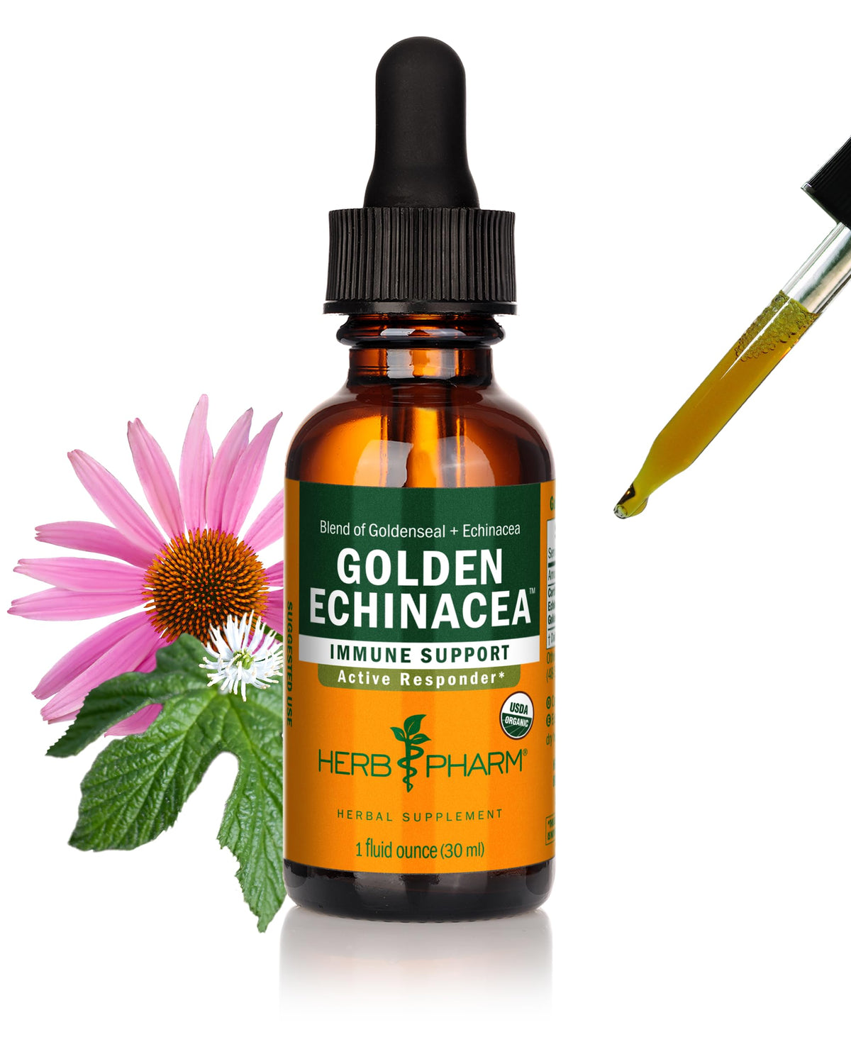 Herb Pharm Golden Echinacea Liquid Extract for Immune Support - 1 Fl Oz
