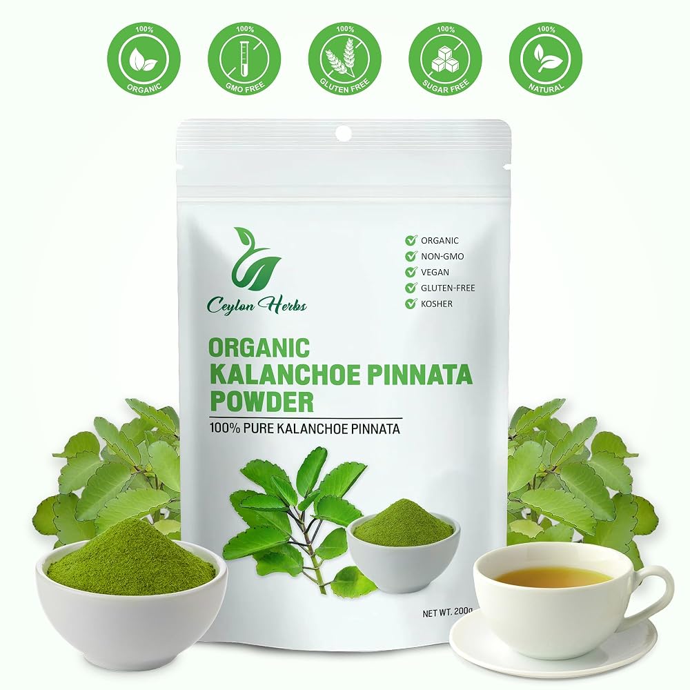 Generic Kalanchoe Pinnata Leaves Powder - 100g - image 2