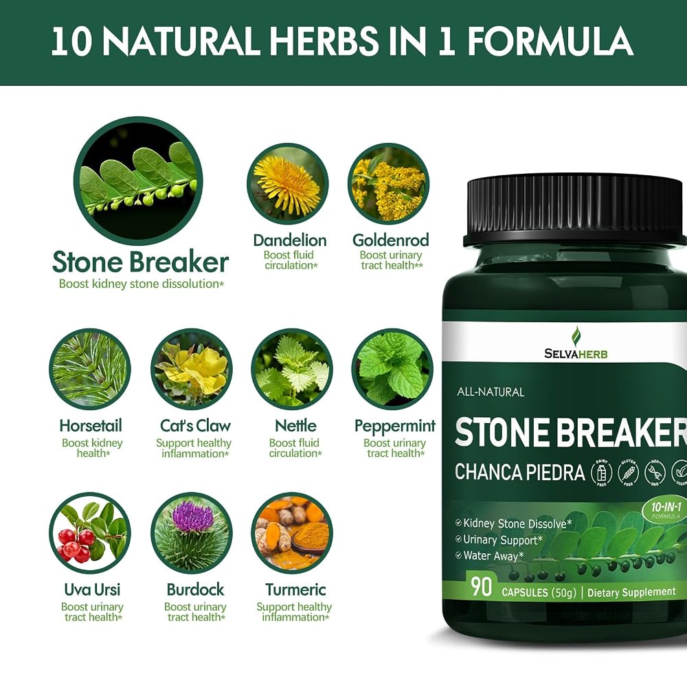 Selvaherb Stone Breaker Chanca Piedra Capsules Urinary Support - 90 Count - image 4