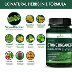 Selvaherb Stone Breaker Chanca Piedra Capsules Urinary Support - 90 Count - image 4