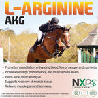 NXP Supplements L-Arginine AKG Powder for Horses - 1 lb - image 5