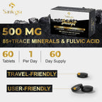 Santegra Shilajit Tablets 500 mg for Energy - 60 Tablets - image 6