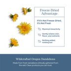 Eclectic Institute Organic Dandelion Leaf Capsules - 90 Count - image 5