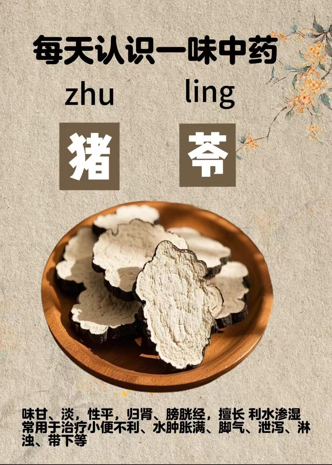 Greenlike Zhu Ling Pian Polyporus Umbellatus Herbal Supplement - 16 Fl Oz - image 5