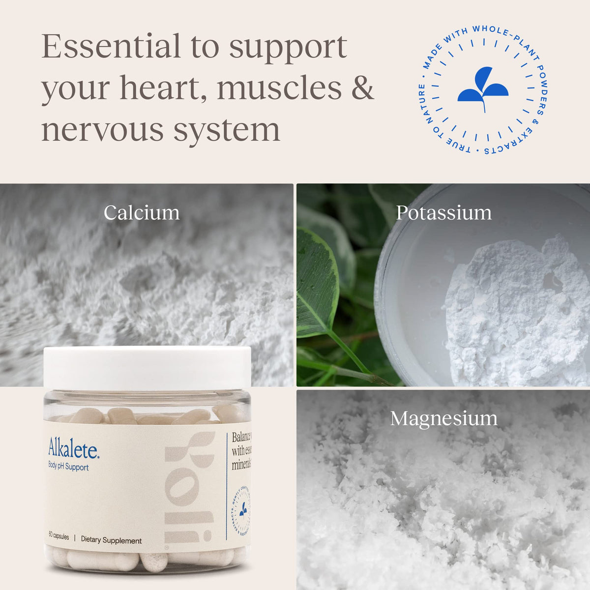 Yoli Alkalete Calcium and Magnesium Supplement - 60 Capsules - image 4