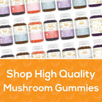 Safer Products Reishi Mushroom Gummies - May Support Immune Health