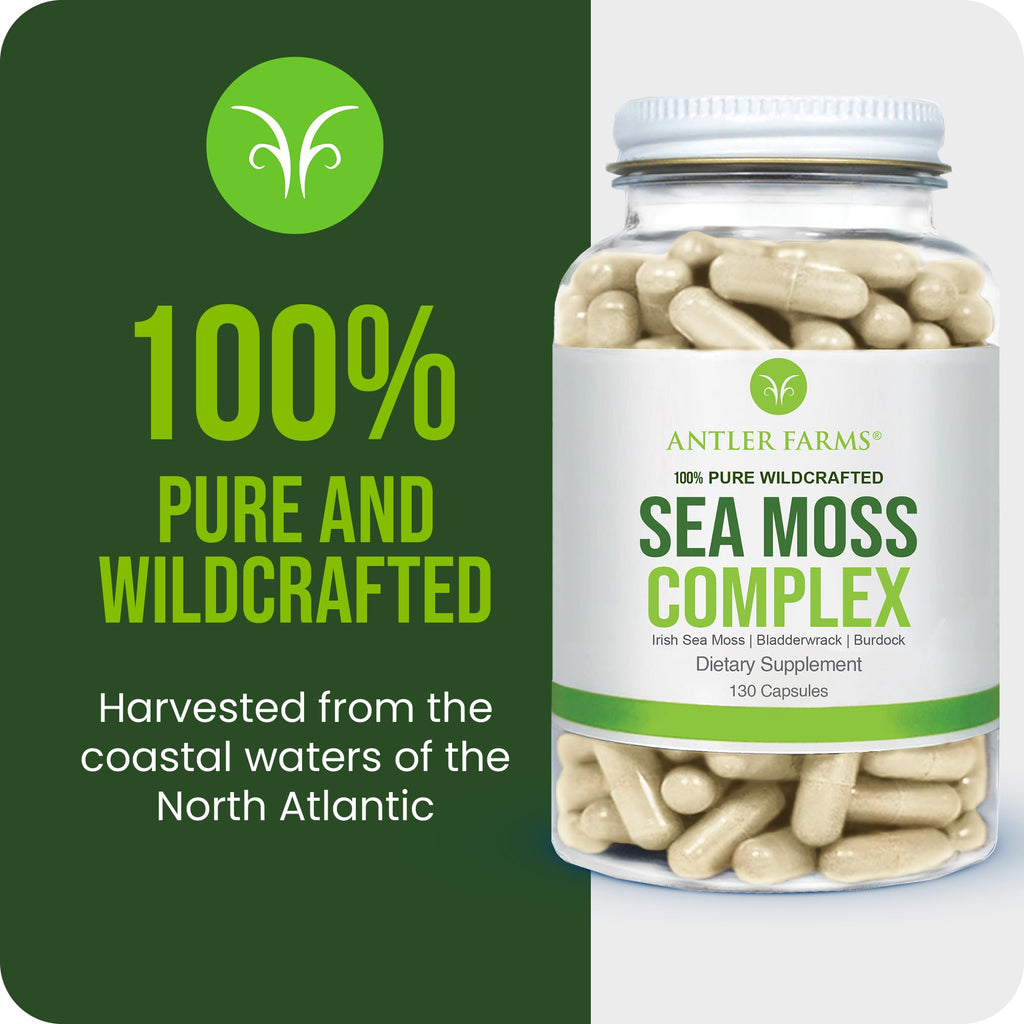 Antler Farms Sea Moss Complex with Bladderwrack - 130 Capsules - image 2