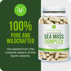 Antler Farms Sea Moss Complex with Bladderwrack - 130 Capsules - image 2