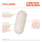 Health by Habit Capsule Collagen Standard 60 PC Count Container