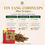Vita Green Yin Yang Cordyceps Mycelium Energy Support - 60 Capsules - image 6