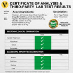 VEGEPOWER Whole Food Multivitamin for Women