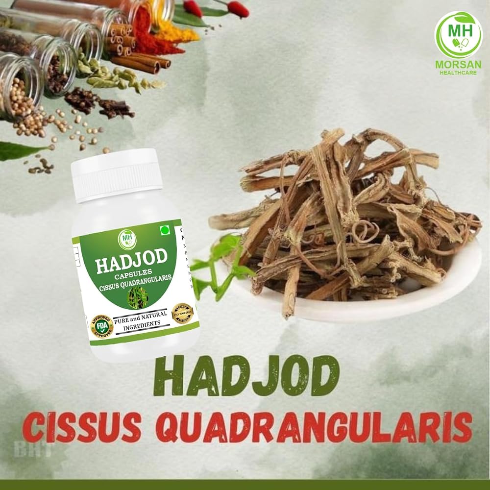 Morsan Healthcare Hadjod Cissus Quadrangularis 500mg - 120 Capsules - image 5