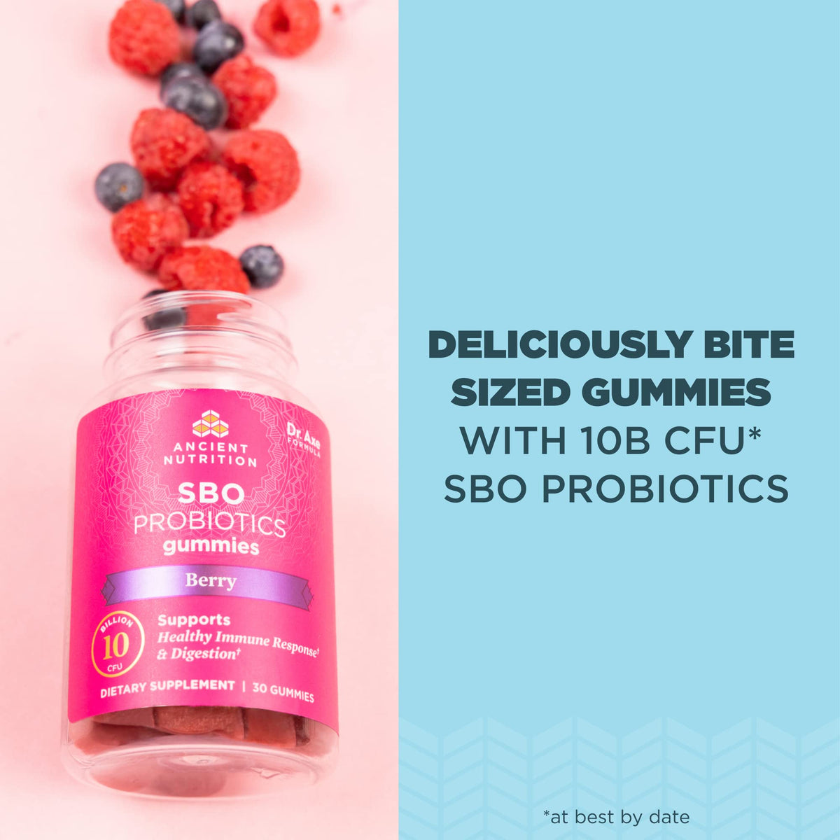 Ancient Nutrition SBO Probiotics Gummies 10 Billion CFUs - 60 Gummies - image 3